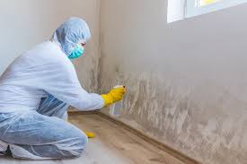 Why You Should Choose Our Mold Remediation Services in Paradise, CA