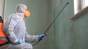 Best Mold Prevention Services  in Paradise, CA