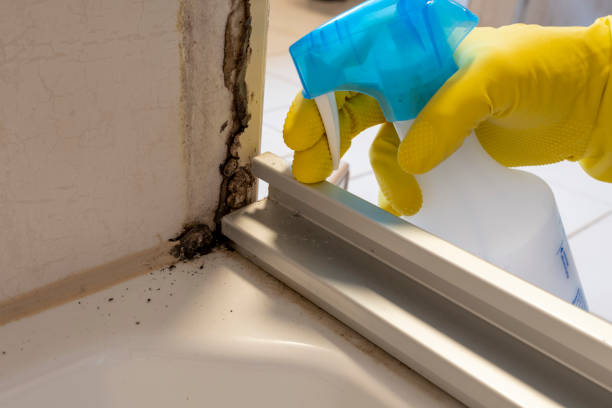 Best Biohazard Mold Removal  in Paradise, CA